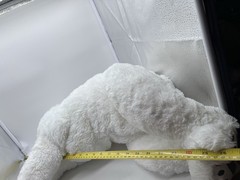 Ikea Snuttig Polar Bear VERY Floppy Stuffed Animal Pillow Plush Toy 26” No Tag