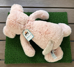 Jellycat Medium Bashful Piggy Pink Plush Stuffed Animal Pig BAS3PGN 12″ New +Tag