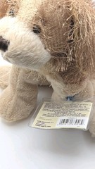 Ganz Webkinz Cocker Spaniel Plush w/ Code HM011 NWT 2005