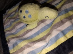 Turtle Baby Security Blanket Green Blue White Gray Stripes Carter’s Plush Lovey