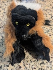 Wild Republic Realistic Plush Black Brown White Lemur Long Tail Yellow Eyes 11″