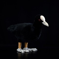 28CM Realistic Coot Plush Toy Cute White Coot Stuffed Animal Soft Bird Doll Gift