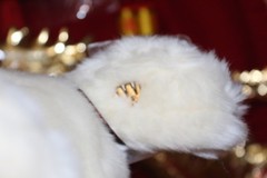 WEBKINZ SIGNATURE HARP SEAL.COMES WITH SEALED/UNUSED CODE.NICE GIFT