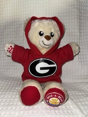 Build A Bear Limited Edition National Teddy Bear Day 2019 Plush Stuffed Animal