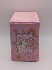 Liila’s Garden Tea Party Mini Plush Keychain Blind Box