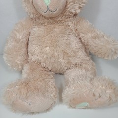 Sandra Magsamen Messages From The Heart Tan Plush Bear Green Heart Nose Foot 15″