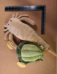 Two Paleozoic Pals Museum of the Earth Plush Eurypterid and Trilobite With Tags