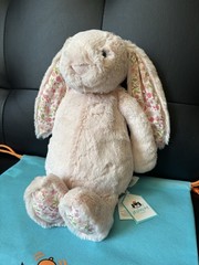 Authentic Jellycat Blossom Blush Bunny ‘Cherry’ – Medium – New with Dust Bag