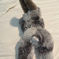Gray & Brown Bunny Rabbit Plush Stuffed w/ Long Ears, Small 6-14 in Dog Toy
