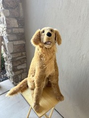 Melissa & Doug Large Golden Retriever Life-Size Plush Dog Stuffed Animal 31″