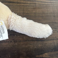 Rare HTF National Geographic Lelly Venturelli Fennec Fox Plush Stuffed Animal