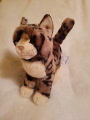 TASHETTE the Plush BENGAL CAT Stuffed Animal – by Douglas Cuddle Toys – #1862