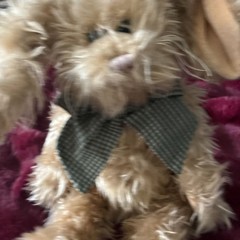 The Bearington Collection Tan Shaggy Plush Bunny Rabbit w/ Gingham Bow A524