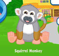 Webkinz Squirrel Monkey Virtual Adoption Code Only Messaged Webkinz Monkey Code!
