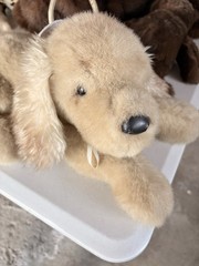 Douglas Cuddle Toy Golden Retriever Plush 23” Puppy Stuffed Animal Dog W Haloa