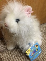 Webkinz Persian Cat With Sealed Code Plush Stuffed Animal