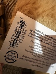 ESSA Emotional Support Douglas Dog🐶Golden Retriever With All Gear Included🐶