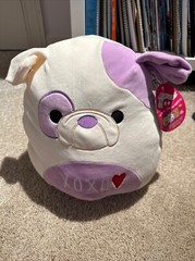 Squishmallow Lot NWT Valentine’s Day Variety 