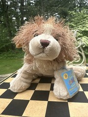 Ganz Webkinz Cocker Spaniel Dog
