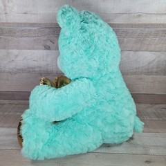 Mint Green Teddy Bear Plush Gold Heart Valentines Day Stuffed Animal Adventure