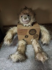 NEW Little Toasties New Zealand Sloth Heat & Hug Plush. Fuzzy Plush Sloth