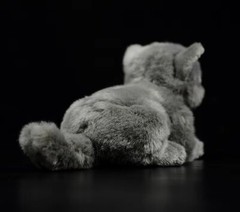 British Shorthair Cat 8 Inch Stuffed Animal Plush Toys Toddler Doll Kids Gifts