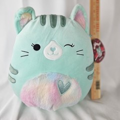 Squishmallows Valentine’s Day Corinna the Tabby Cat 13″ NWT Fuzzy Rainbow Tummy