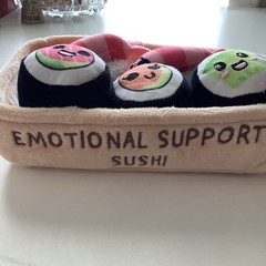 🍣 Emotional Support Sushi by Relatable – BRAND NEW!