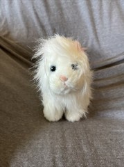 Webkinz White Persian Cat Stuffed Animal Plush Toy Ganz HM110 Blue Eyes No Code