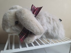 Vintage Unipak Long Hair Rabbit Bunny Plush W/ Tush Tag And Bow Around Neck 16″