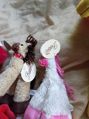 BESTEVER Funny Feet Plush Stuffed Animals Lot Of 9