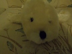 RARE VINTAGE WHITE REALISTIC LIFELIKE HARP ARCTIC FUR SEAL PLUSH DOLL FIGURE TOY