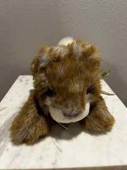 Bunny Rabbit Walmart Plush Blue Brown White With Green Bow Easter Stuffed Animal