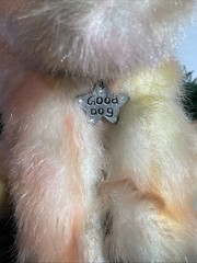Aurora Catapillers Amoura Puppillons Dog Plush Wings Good Dog Collar Vtg Y2K