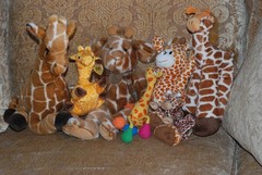 (7) Wonderful Giraffes Collection of Various Sizes – Stuffed Animals – Soft Toys
