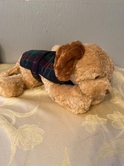 Gund Cocoa Lab Puppy Dog 15″ Plush Stuffed Animal 44495 with Plaid Coat retired