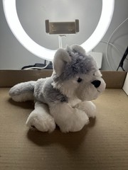 Webkinz
