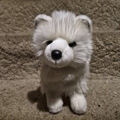Douglas Cuddle Toys White Pomsky Plush Stuffed Animal Toy Pomeranian Dog