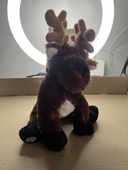 Webkinz