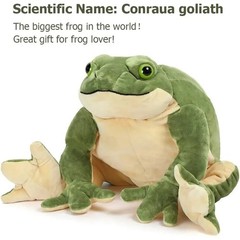 Cute Green Frog Plush Toy Green Frog Stuffed Animal Lifelike Animal Doll 28cm