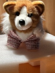 Douglas Corgi Dog Plush #1713 Tan White Puppy Stuffed Animal wearing Coat