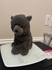Douglas Cuddle Toys Colbie Grey Cat Retired Plush #4665 HTF