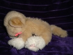 Kitty Kitty Kitten Kittens Plush Rattle Purr Cat Beige W/Pink Bow