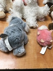 Webkinz GANZ Plush Stuffed Animal Lot Of 8 – NO CODES