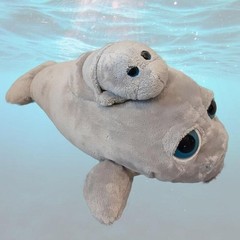 Petting Zoo Manatee Mom and Baby 10″ Plush Bright Eyes Pocketz Series