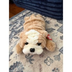 Ty Plush bundle- Brown, Cream, White, Black puppies