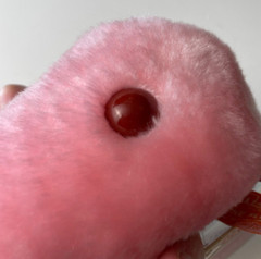 Giant Microbes Swine Flu by Drew Oliver NWT Pink Plush Toy 6 inches 2009
