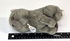 Bt Chaps Freddy the British Shorthair Cat Plush Stuffed Animal Bon Ton Toys