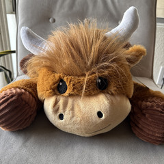 Scottish Highland Cow Plush 19″ Brown w/ Ribbed Hooves 2023 MTY NWT