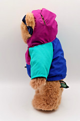 LL Bean Ellie Bear Plush Teddy Bear In Hooded Ski Jacket 14″ Tall Stuffed Animal
